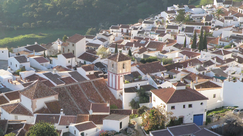 Energía fotovoltaica en edificios públicos de tres municipios de la Serranía de Ronda
